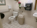 accessible bathroom fixtures